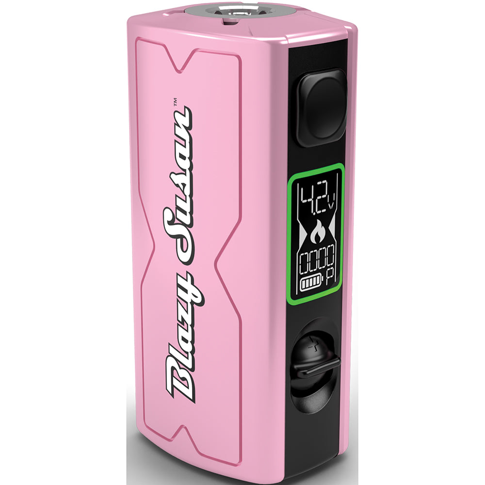 Blazy Susan 510 Mini Battery (12 Count)